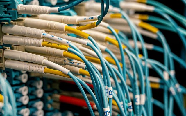 Fibre patch leads terminated into a panel